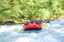 Rafting Tour Interlaken