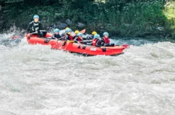 Rafting Tour Light Bad Goisern (3 Std.)