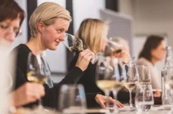 Rebsortenkurs mit Degustation für 2 Münchenstein
