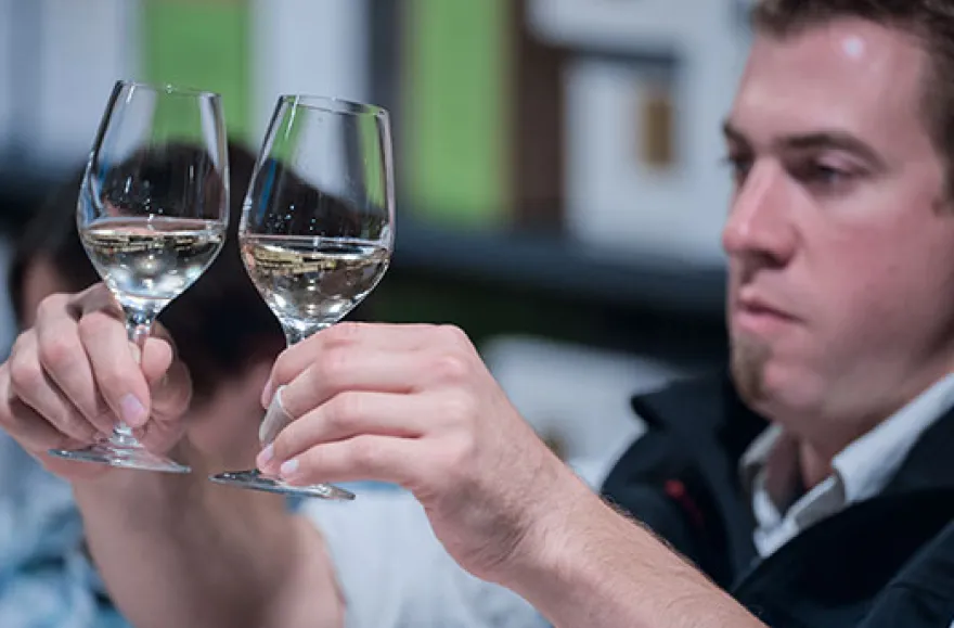 Rebsortenkurs mit Degustation