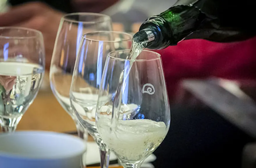 Rebsortenkurs mit Degustation