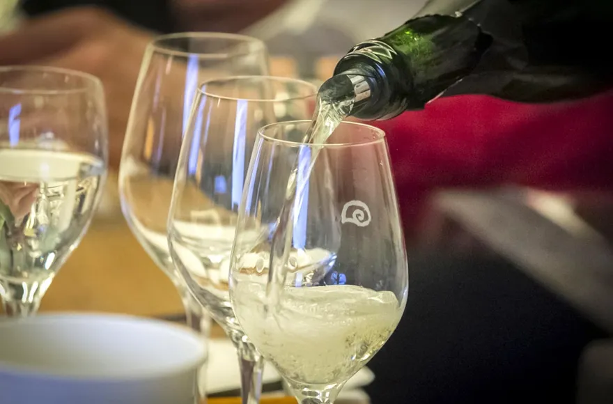 Rebsortenkurs mit Degustation Solothurn