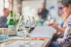 Rebsortenkurs mit Degustation München