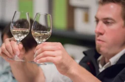 Rebsortenkurs mit Degustation Würzburg