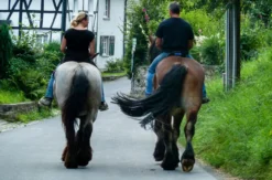 Reiten Windeck