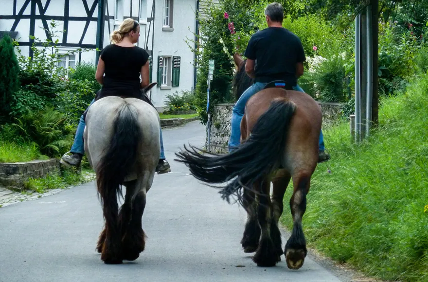 Reiten Windeck