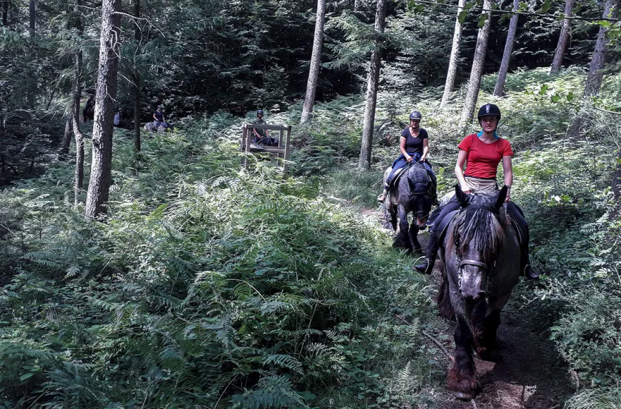 Reiten Windeck