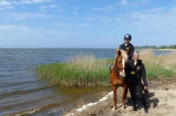 Rennreiten für Einsteiger Bad Doberan
