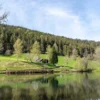 Romantikurlaub im Schwarzwald (Berneck) für 2 (2 Nächte)