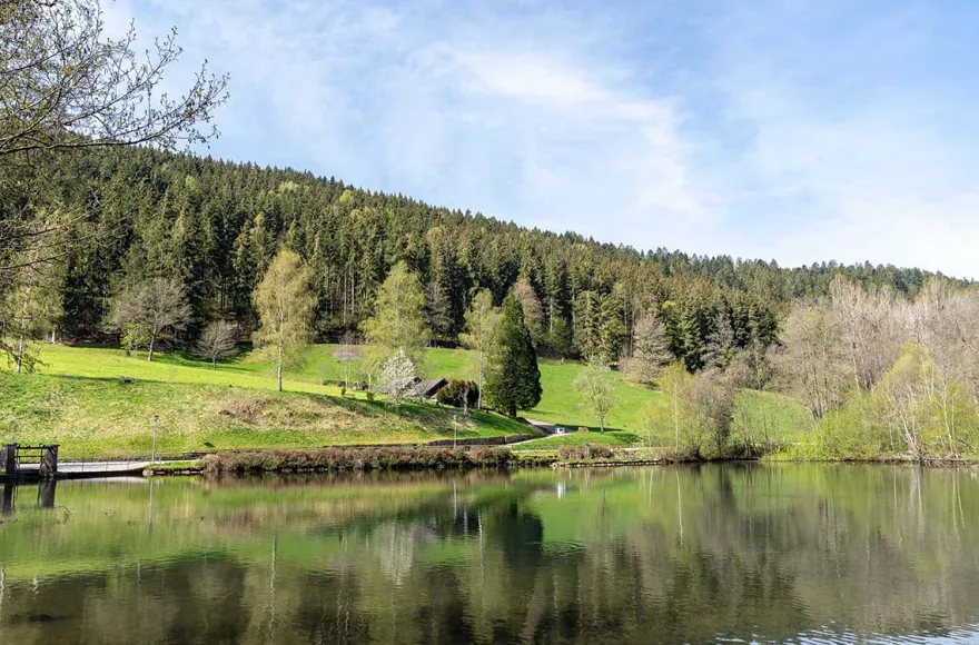 Romantikurlaub im Schwarzwald (Berneck) für 2 (2 Nächte)
