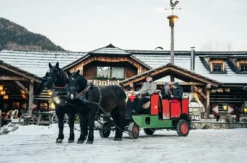 Romantische Pferdekutschenfahrt Bad Kleinkirchheim für 2