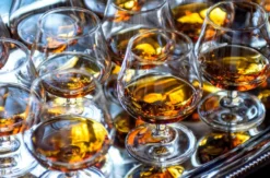 Rumtasting Düsseldorf