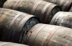Rum Tasting in Stuttgart (7 Premium Sorten)