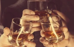 Rum Tasting in Stuttgart (7 Premium Sorten)
