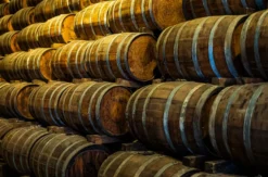 Rum Tasting in Stuttgart (8 Rum-Sorten)