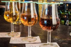 Rum Tasting und Herstellung Wien