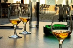 Rum Tasting Wien
