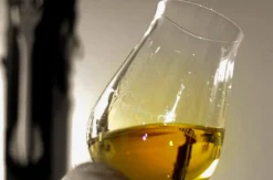 Rum Tasting Wien