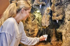 Saalfelder Feengrotten und Museum Grottoneum für 2