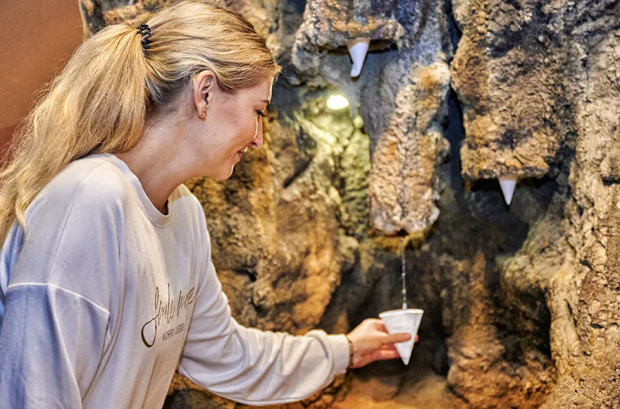 Saalfelder Feengrotten und Museum Grottoneum für 2