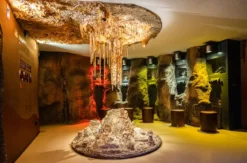 Saalfelder Feengrotten und Museum Grottoneum für 2