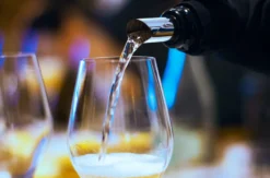 Schaumweinseminar Frankfurt am Main (Champagner & Co.)