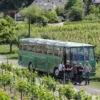 Schifffahrt und Weinerlebnis in Trier