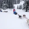 Schlittenhunde Abenteuer Ermenswil St. Gallen für 2