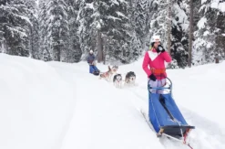Schlittenhunde Abenteuer Ermenswil St. Gallen für 2