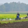 Schlittenhundefahrt Schwabmünchen