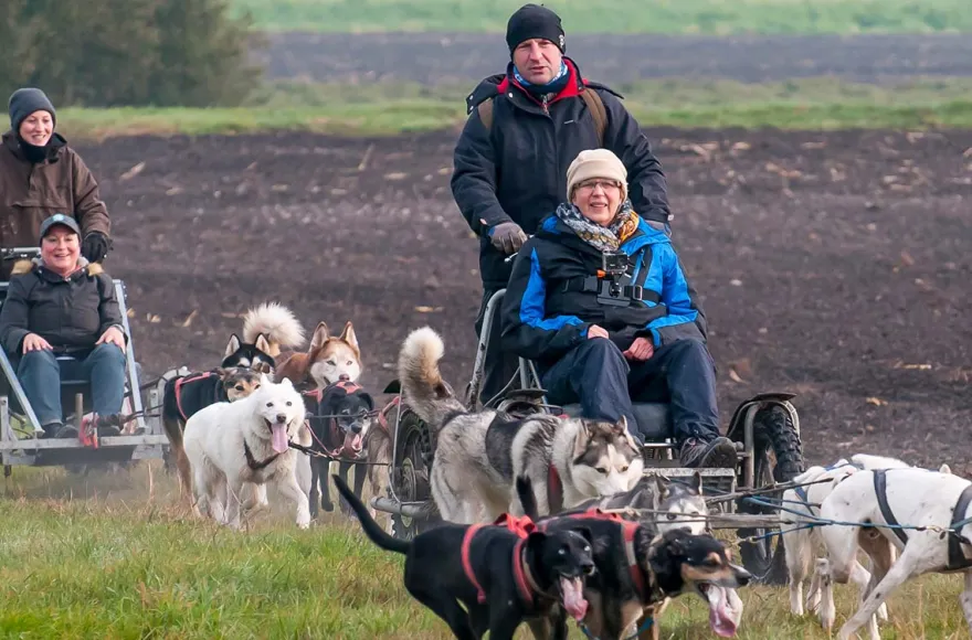 Schlittenhundefahrt Schwabmünchen