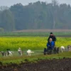 Schlittenhundefahrt Schwabmünchen