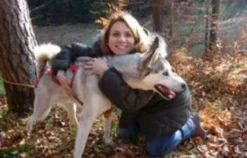 Schlittenhunde Wagenabenteuer Ermenswil für 2