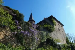 Schmiedekurs Schlüchtern auf Burg Brandenstein