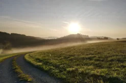 Schnapswanderung Loßburg