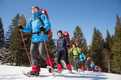 Schneeschuhtour & Bobfahrt