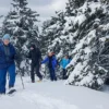 Schneeschuhtouren (4 Std.)