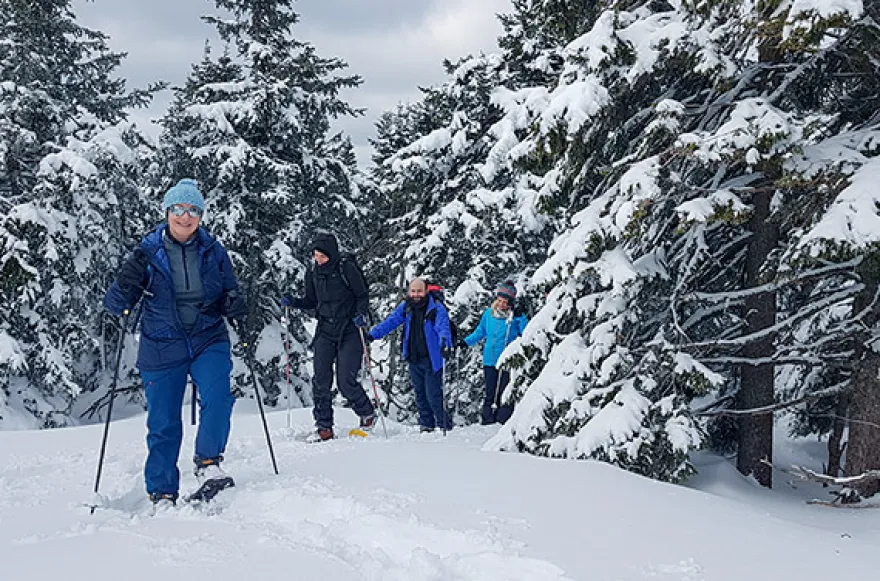 Schneeschuhtouren (4 Std.)