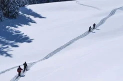 Schneeschuhtour & Freeride-Airboarding