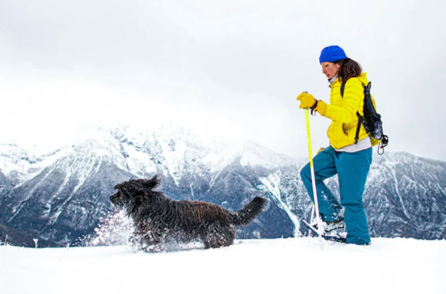 Schneeschuh-Tour mit dem eigenen Hund