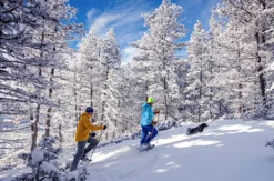 Schneeschuh-Tour mit dem eigenen Hund