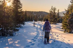 Schneeschuhwandern