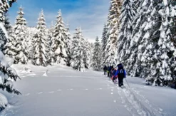 Schneeschuhwandern