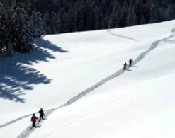 Schneeschuhwanderung Immenstadt