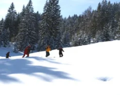 Schneeschuhwanderung Immenstadt