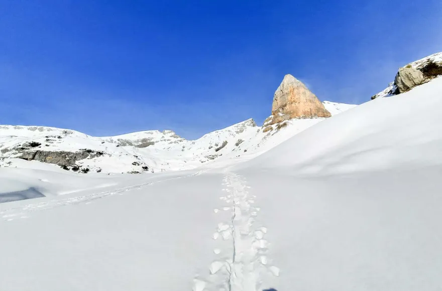 Schneeschuhwanderung im Rofangebirge