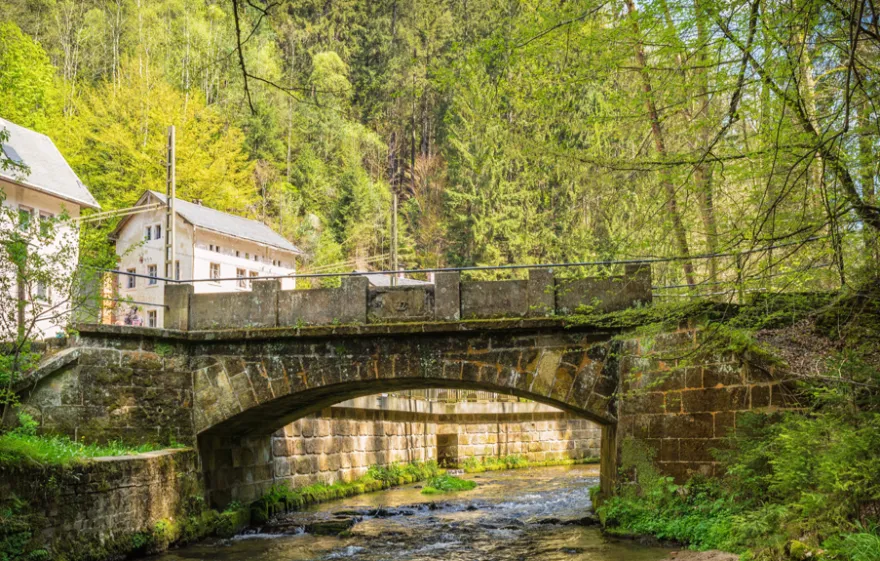 Schnitzeljagd Bad Schandau