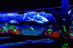 Schwarzlicht Minigolf Asperg für 4