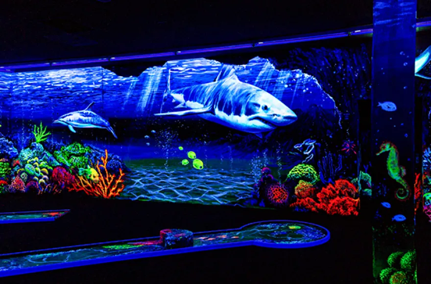 SCHWARZLICHT MINIGOLF SCHWÄBISCH GMÜND FÜR 4
