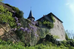 Schwert schmieden auf Burg Brandenstein Schlüchtern